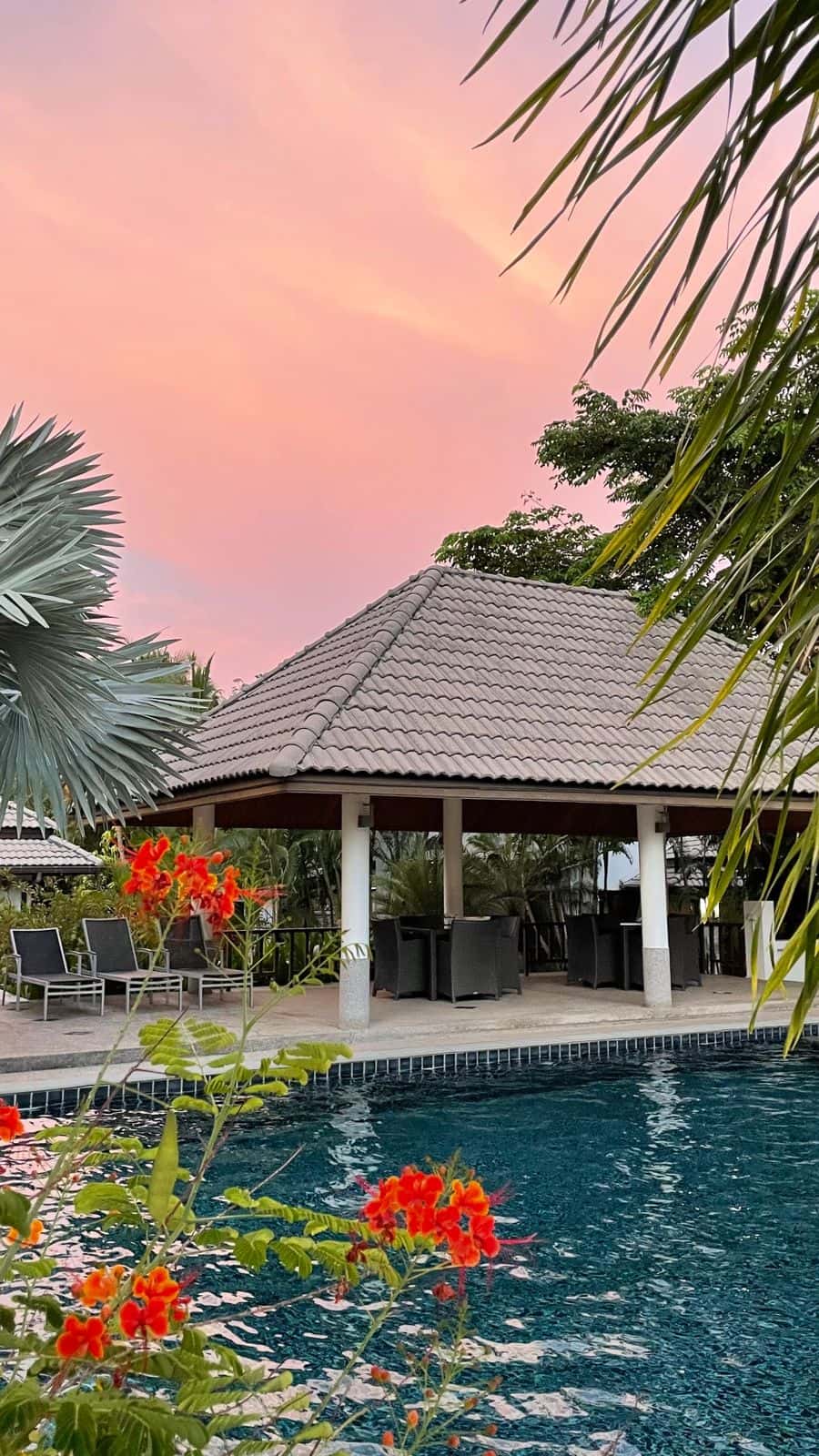 1129cceb-4382-43d1-9bdf-f063a9672b2e