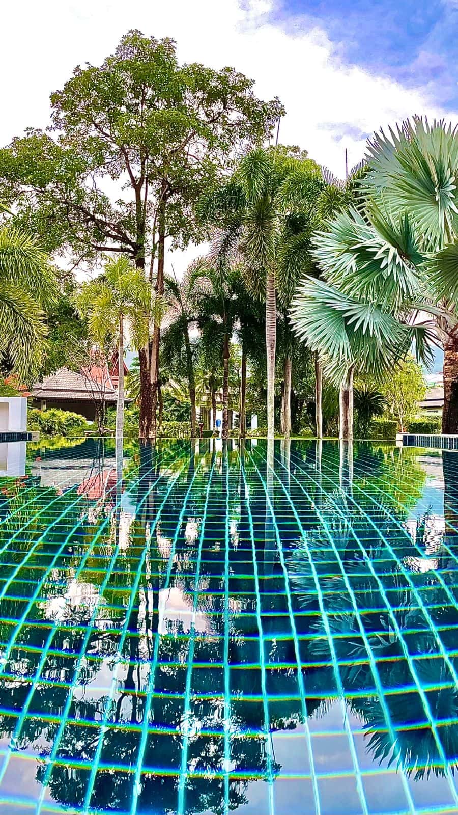 9e160b37-98b2-46db-a65c-b847ee9b3b54